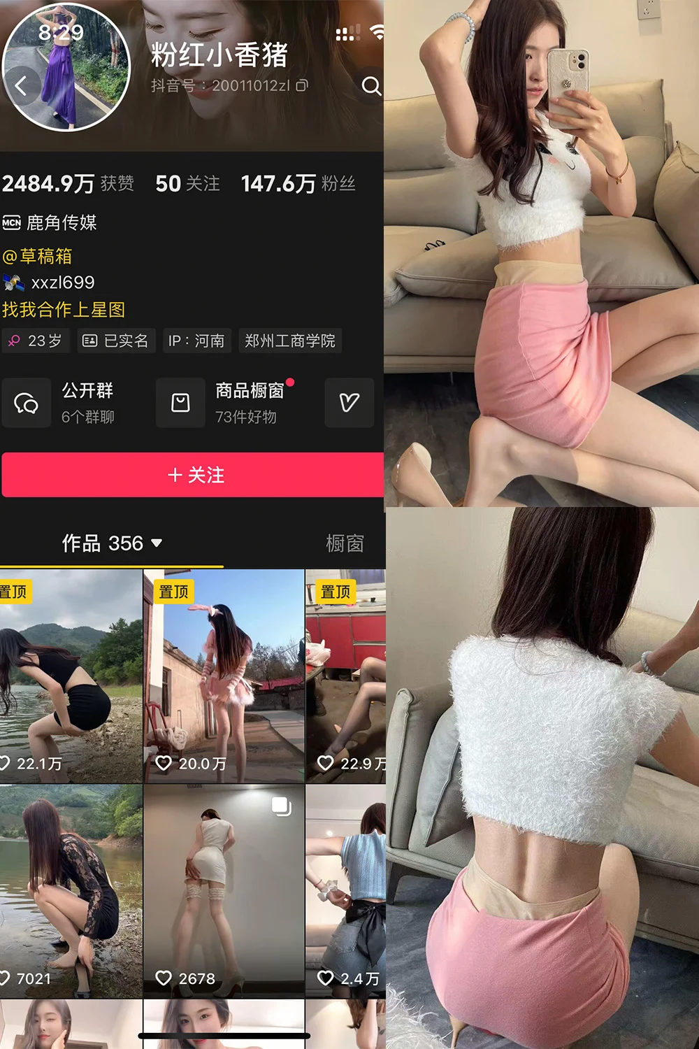 粉红小香猪写真图片(4)